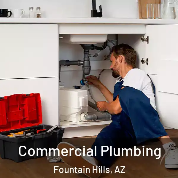  Commercial Plumbing Fountain Hills, AZ