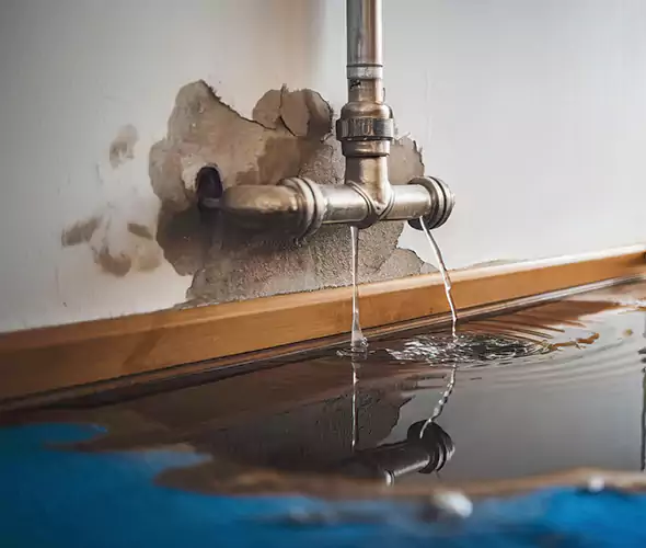 Professional Water Damage Restoration Experts in Fountain Hills, AZ — Fast, Reliable & Certified